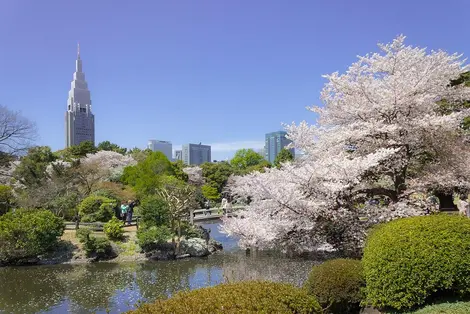 Parc de Shinjuku