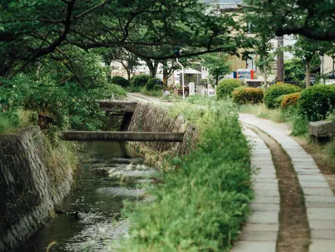 Chemin de la philosophie