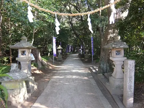 chemin-hananoiwaya-jinja