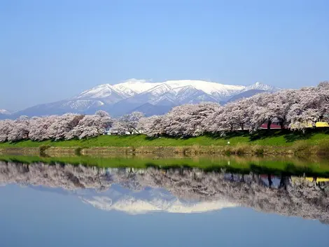 Hitome Senbon Zakura