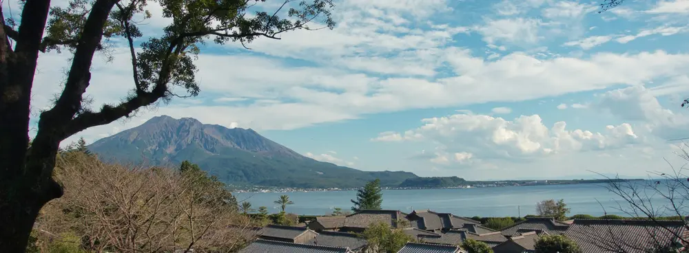 kagoshima volcano sakura view