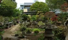 Bonsai Village Omiya, Saitama