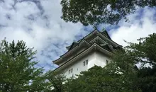 Looking up through the trees to the castle