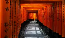 Torii tunnel of Fushimi Inari, Kyoto