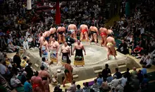 Sumo