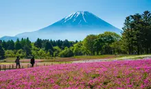 excursion japon japan experience mount fuji