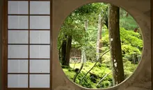 Vista desde un tanhokutei, sede de la ceremonia del tè, hacia los musgos del tempio Saihoji de Kyoto.