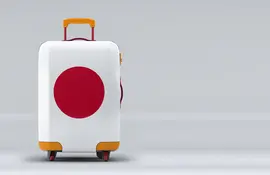 Sayonara - bye bye Japan !