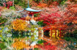 Temple à Kyoto pendant la saison des érables rouges à l'automne