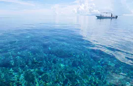 Paradiesstrände und Gewässer der Insel Ishigaki im Okinawa-Archipel sind ein Muss