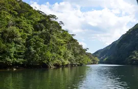 Iriomote Island is one of the last wilderness havens in Japan