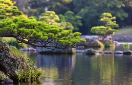 Jardin japonais de Suizenji à Kumamoto, au Japon sur l'île de Kyushu