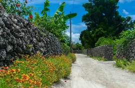 El pueblo isleño de Taketomi, en el archipiélago de Okinawa, se puede explorar en bicicleta o a pie.