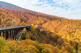 Pont au milieu des forêts d'Aomori en automne