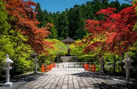 Beautiful nature and autumn foliage in Koyasan sacred valley