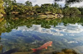 Le Ritsurin koen, jardin japonais de Takamatsu est un magnifique écrin de nature en pleine ville