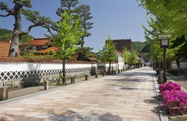 Townscape of Tsuwano Tonomachi street with ginkgo trees