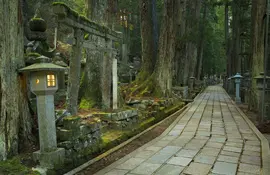 A path through the Okunoin ancient Buddhist cemetery in Koyasan