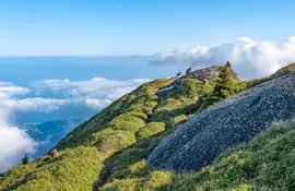 Nagata - Yakushima