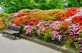 Hakone Gora Kuen