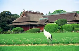 Une des grues du Kôrakuen