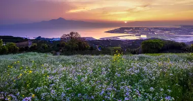 Japanese countryside on the island of Kyushu in Japan, near Kumamoto