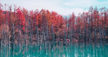 Etang au bleu éclatant, Hokkaido