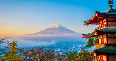 Mount Fuji während der Kirschblüte (Sakura)