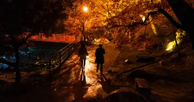 Couple se baladant au Korankei pendant les illuminations d'automne 