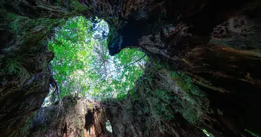 Yakushima