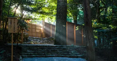 Les premiers rayons du soleil sur le sanctuaire d'Ise Jingu, département de Mie