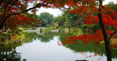 Los arces del parque Shukkei-en.