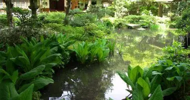 Estanque del jardín de la casa de té Gyokusen-en.