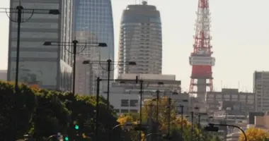 Few running around the Imperial Palace, Tokyo Tower with a backdrop.