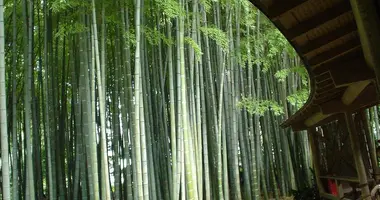 hokokuji kamakura