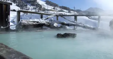 Le Gokurakuyu Huyu de Manza Onsen.