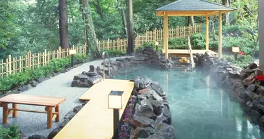 Le bain extérieur du onsen Hakone yuryo