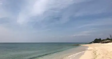 A tan solo una hora de Nara, puedes encontrar hermosas playas en el pueblo Yomitan.