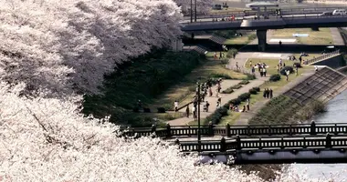 The banks of the Asuwa river