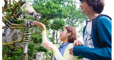 Izu shaboten zoo