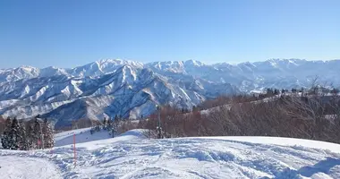 Yuzawa