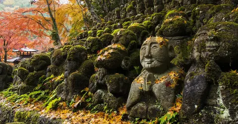 Rakan sous les feuilles d'érables rougies