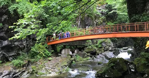 Chemin de randonnée à Gandate Chaya, près de Takayama