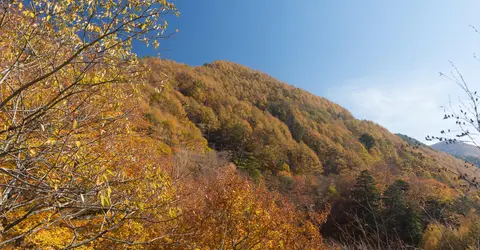 La vallée de Nishizawa à Yamanashi