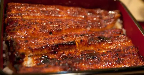 Plat d'anguille grillée Unagi Plat d'anguille grillée Unagi