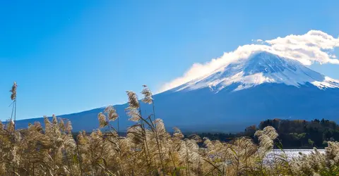 Mont Fuji vu depuis Kawaguchiko en hiver Mont Fuji vu depuis Kawaguchiko en hiver