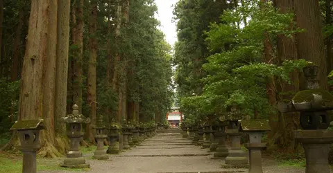 La grande allée des cyprès du Japon menant au sanctuaire