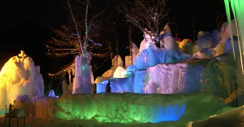 Les illuminations de la Subzero Forest sont un incontournable dans la région