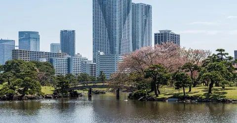 Hama-Rikyu et son bassin bordé de fleurs