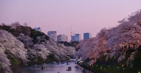 Tokyo